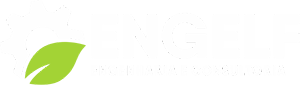 Engelf